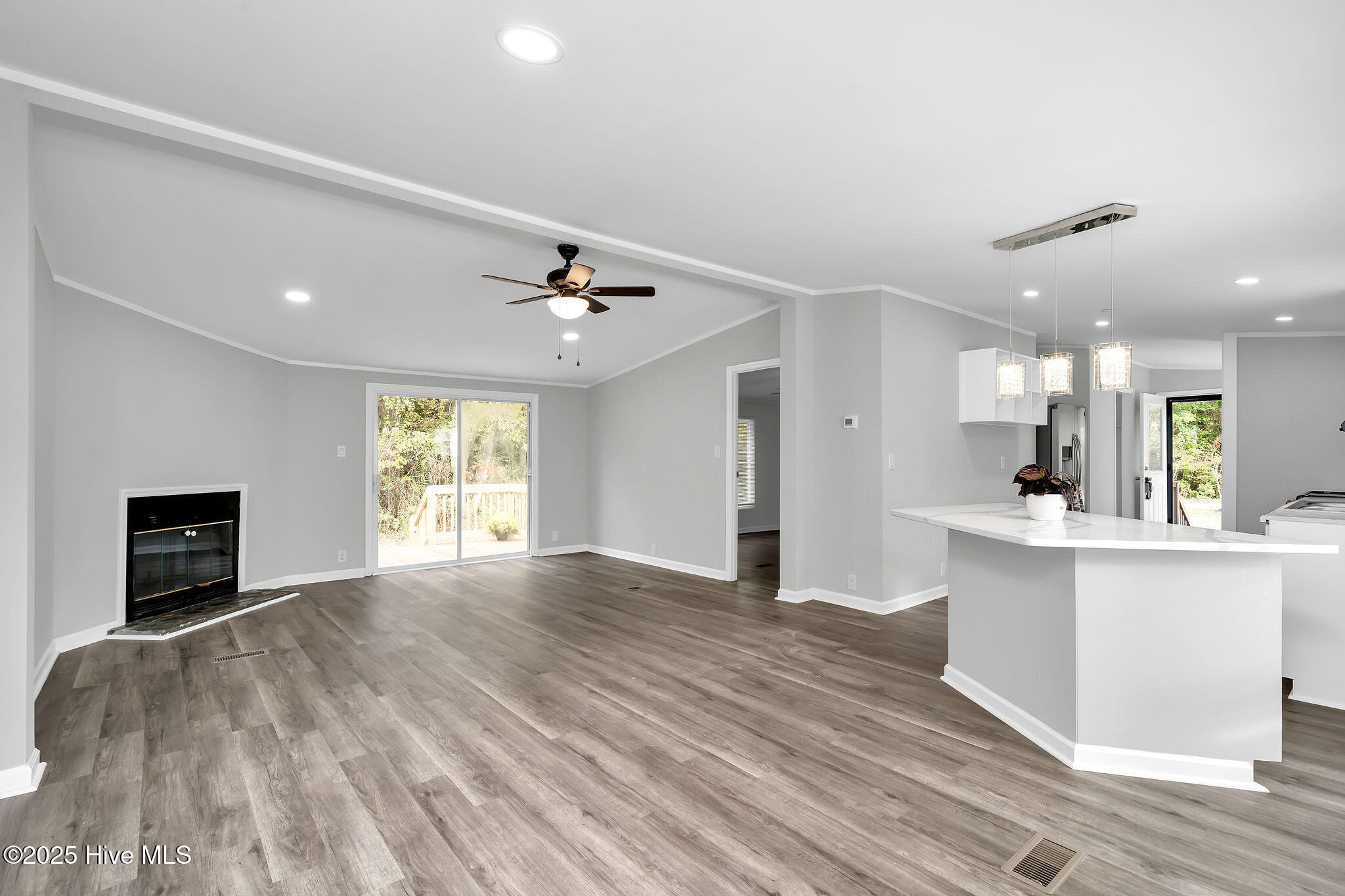 958 Walter Holmes Road Maple Hill, NC 28454 - Photo 3 of 27 958walterholmes-3