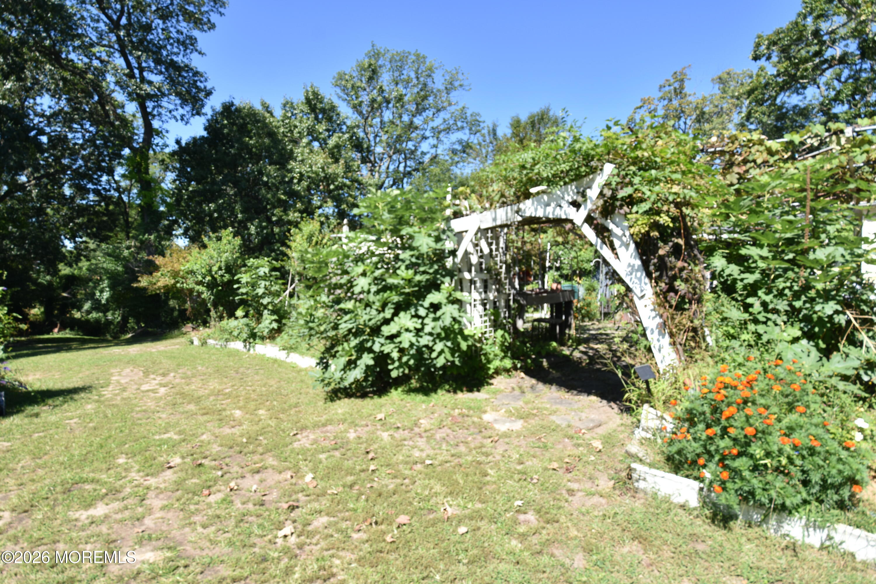 636 Holmdel Road Hazlet, NJ 07730 - Photo 49 of 50 Yard