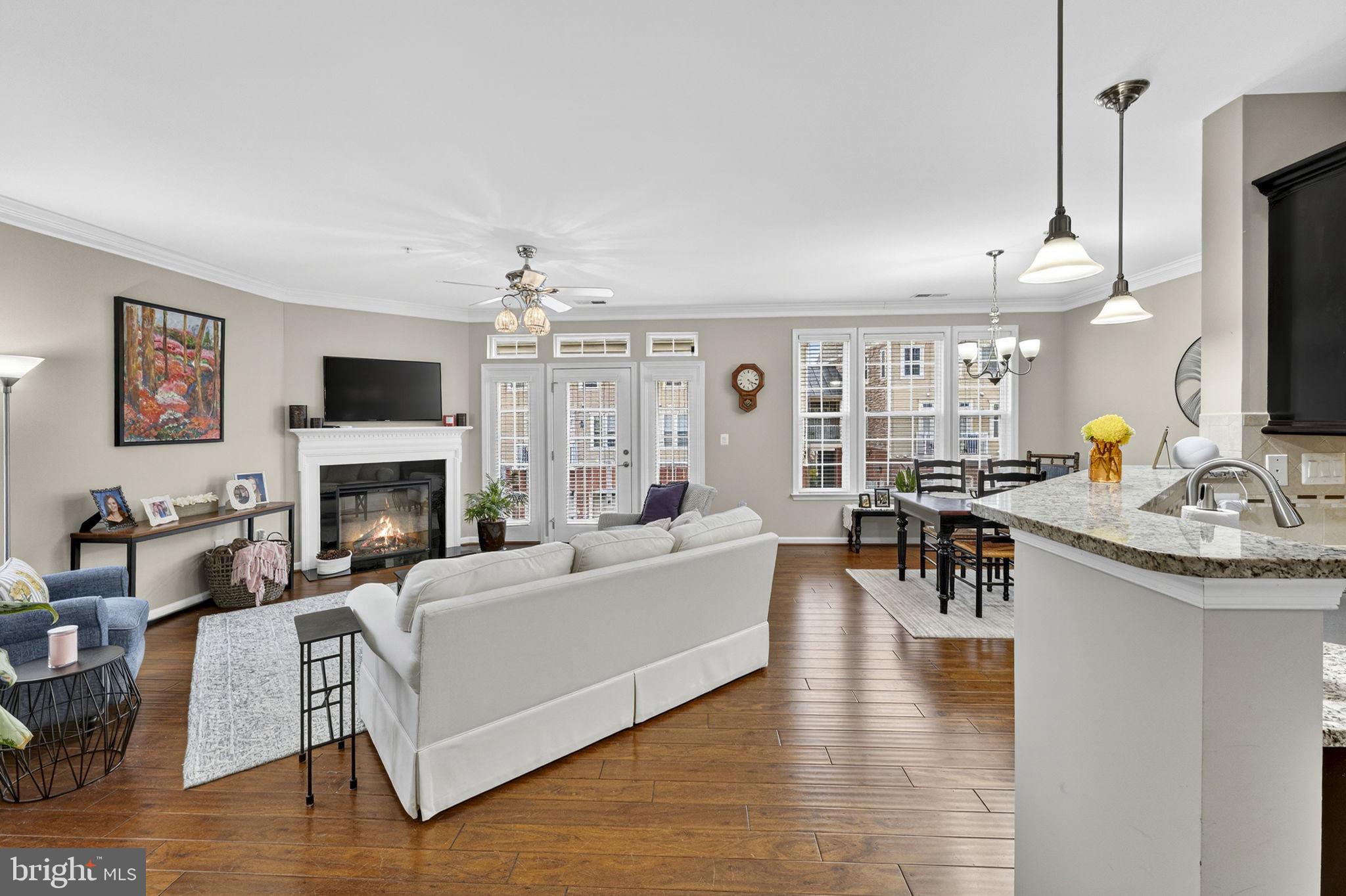 42558 Sunset Ridge Square Ashburn, VA 20148 - Photo 14 of 51 a living room with furniture and a fireplace