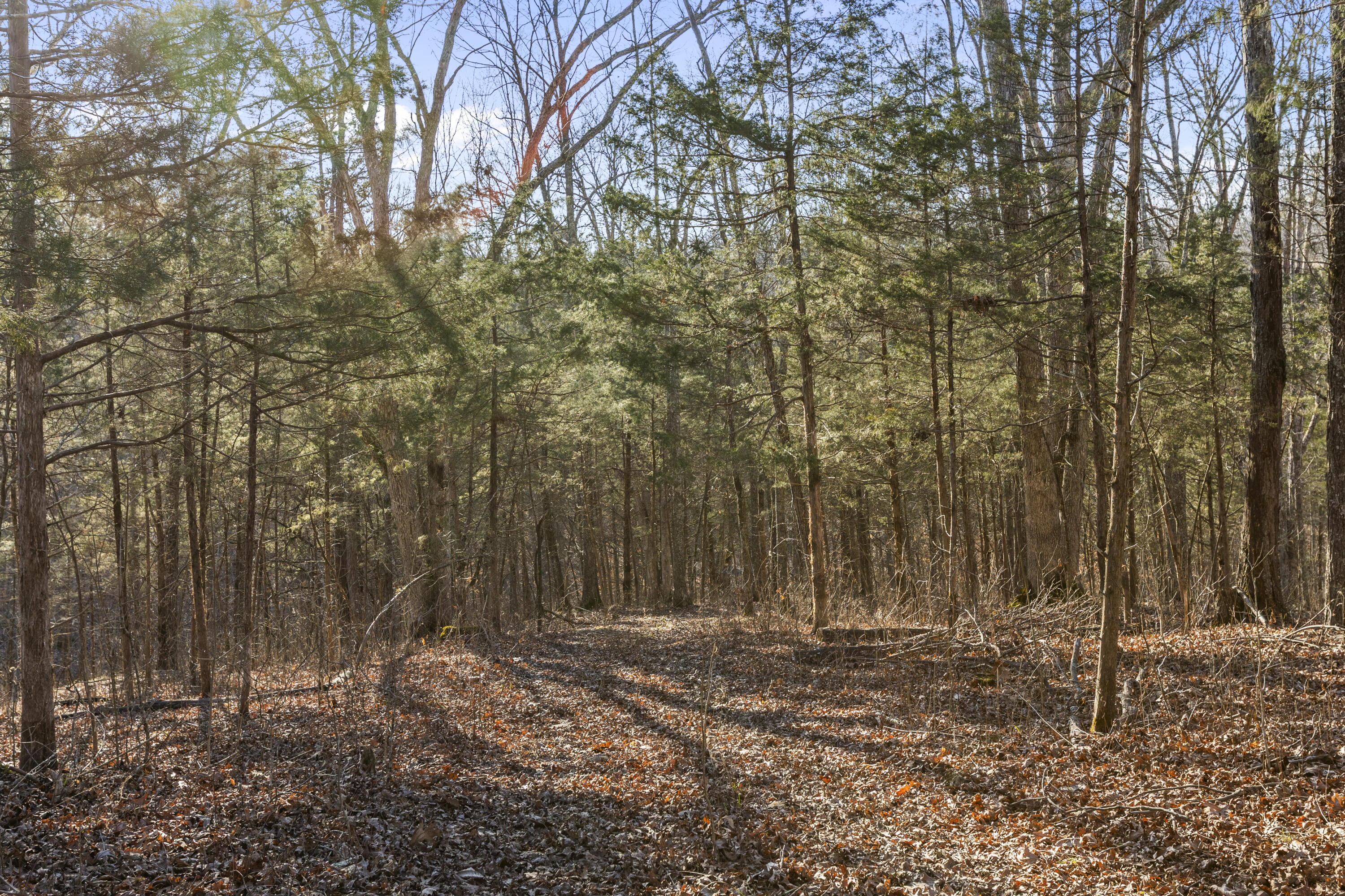 7515 Georgetown Road Owenton, KY 40359 - Photo 33 of 40 I82A2901