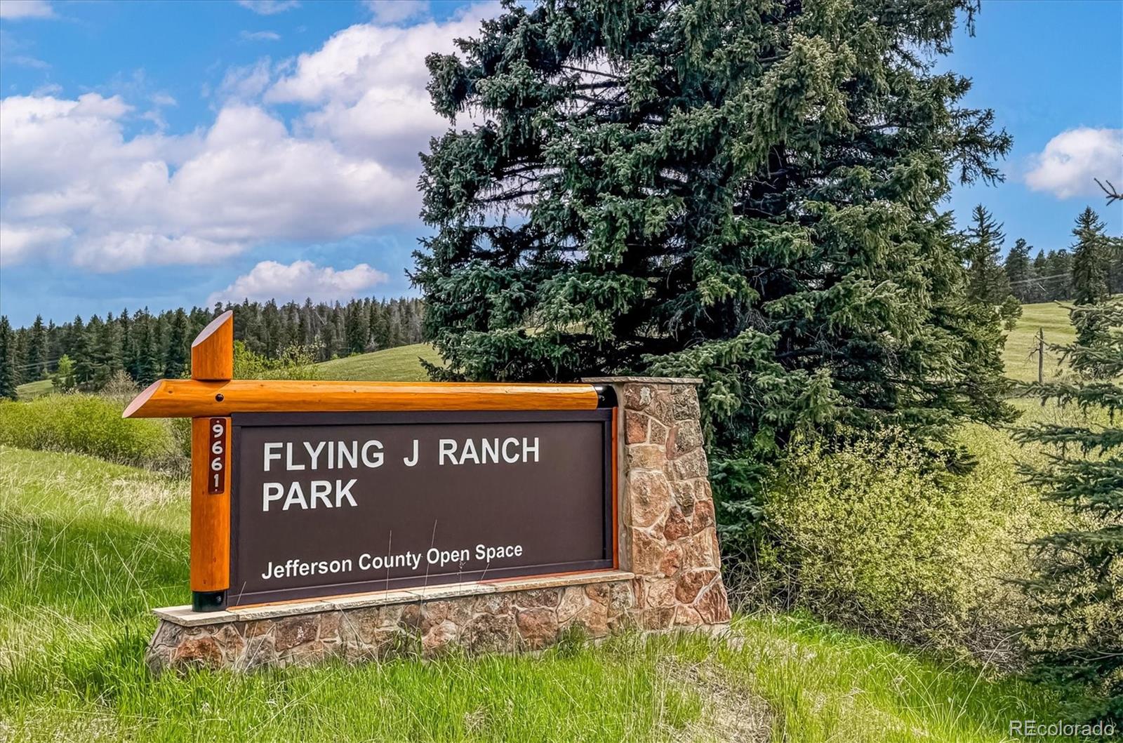 9146 Broken Bow Ranch Road Morrison, CO 80465 - Photo 41 of 48