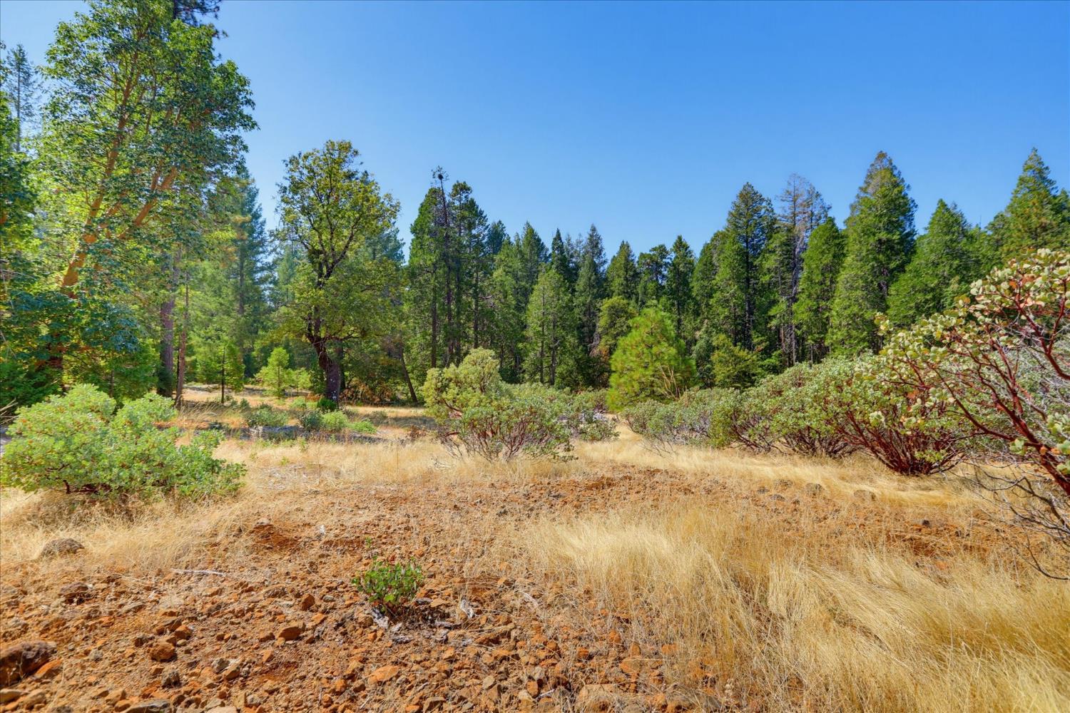 14696 Oak Ridge Road Nevada City, CA 95959 - Photo 89 of 99 Gallery Image 89