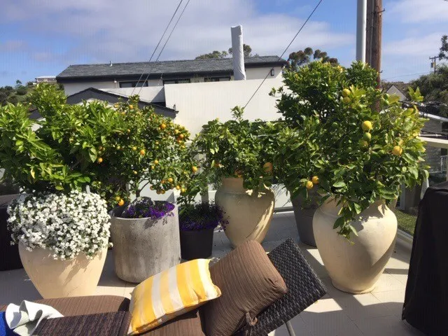 $2,750,000 | 720 1/2 Poinsettia Avenue, Corona del Mar, CA 92625