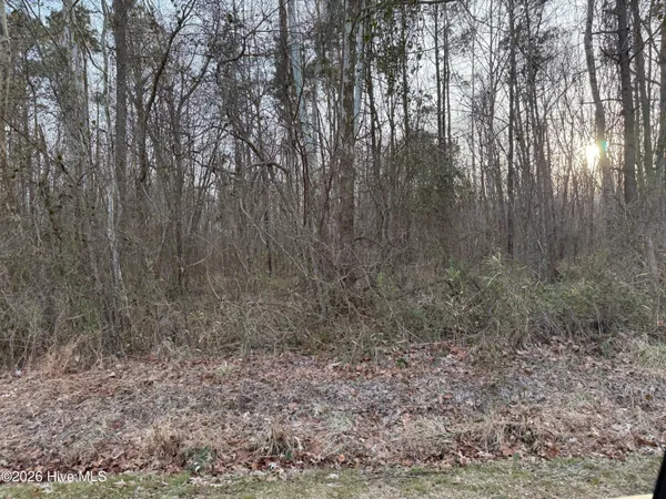 $29,900 | Lot 14 Beasley Road, Roper, NC 27970