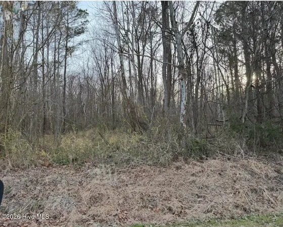 $29,900 | Lot 14 Beasley Road, Roper, NC 27970