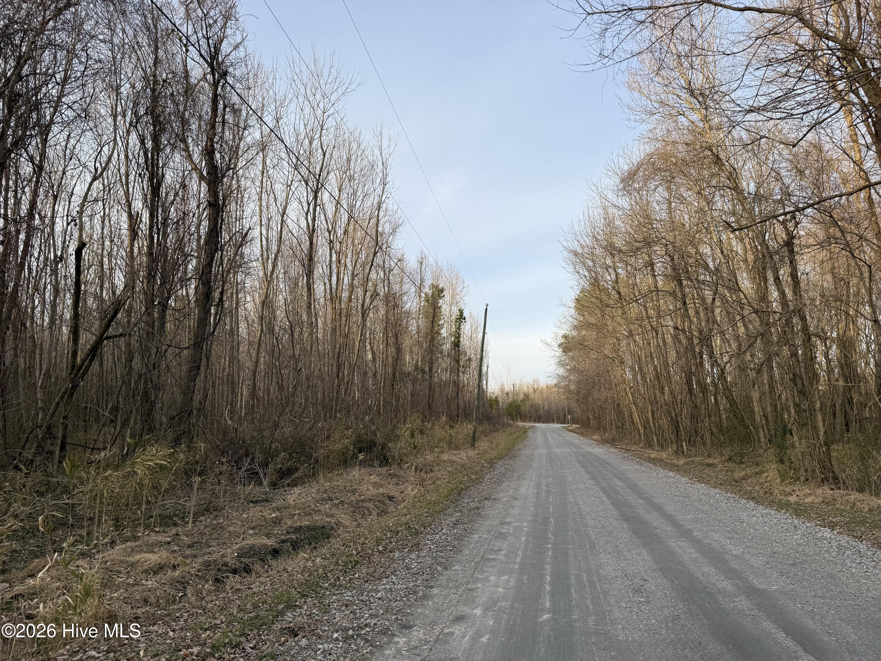 Lot 14 Beasley Road Roper, NC 27970 - Photo 4 of 5 On the corner of Beasley Rd (paved) and Beasley Rd Ext (gravel)