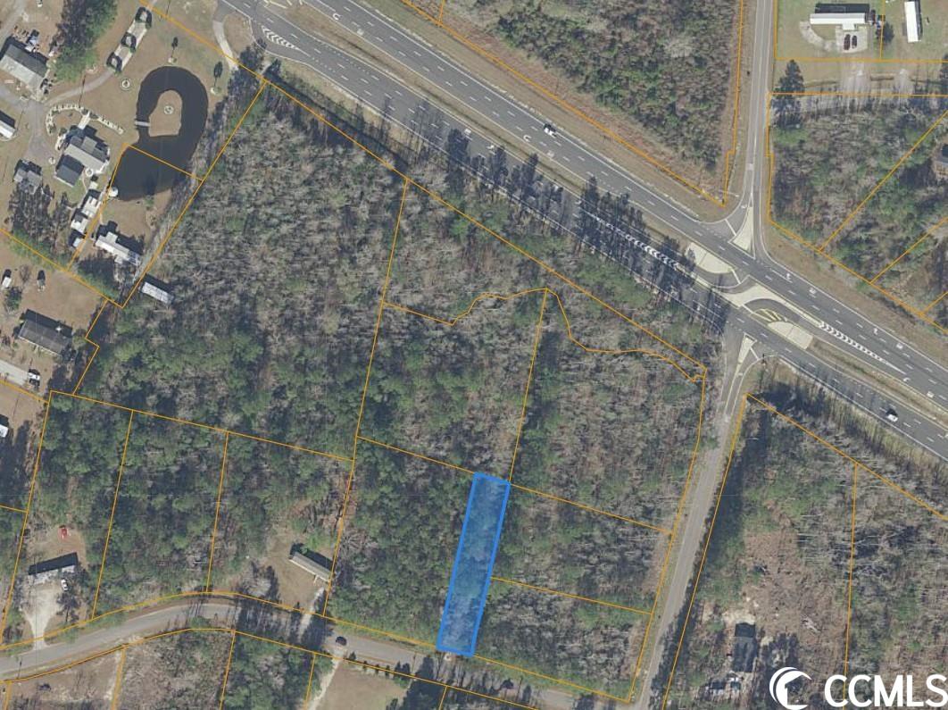 Tbd Zeek Drive Loris, SC 29569 - Photo 2 of 2
