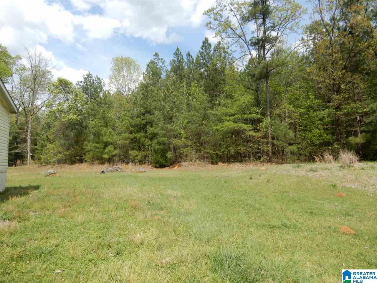 1453 Big Springs Road Woodstock, AL 35188 - Photo 17 of 17