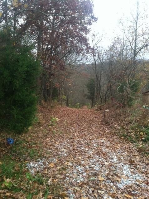 0 Smith Hiteman Road, Unit LOT 8 Alexandria, KY 41001 - Photo 2 of 2 Gallery Image 2