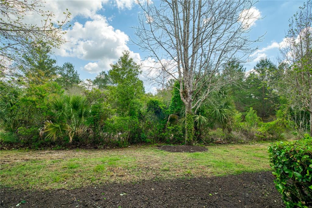 873 Assembly Court Reunion, FL 34747 - Photo 31 of 34