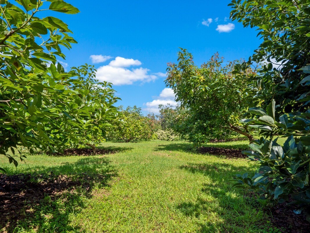89-1439 Hawaii Belt Road Captain Cook, HI 96704 - Photo 24 of 30 Gallery Image 24