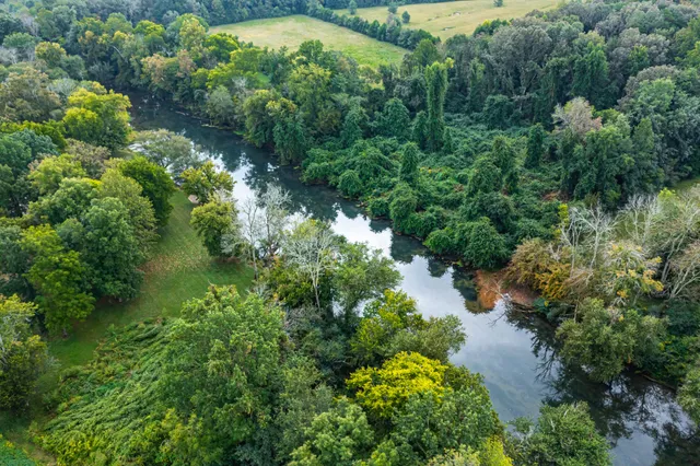 a view of a garden with plants and a fountain