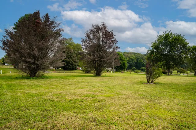 a view of a garden with a building