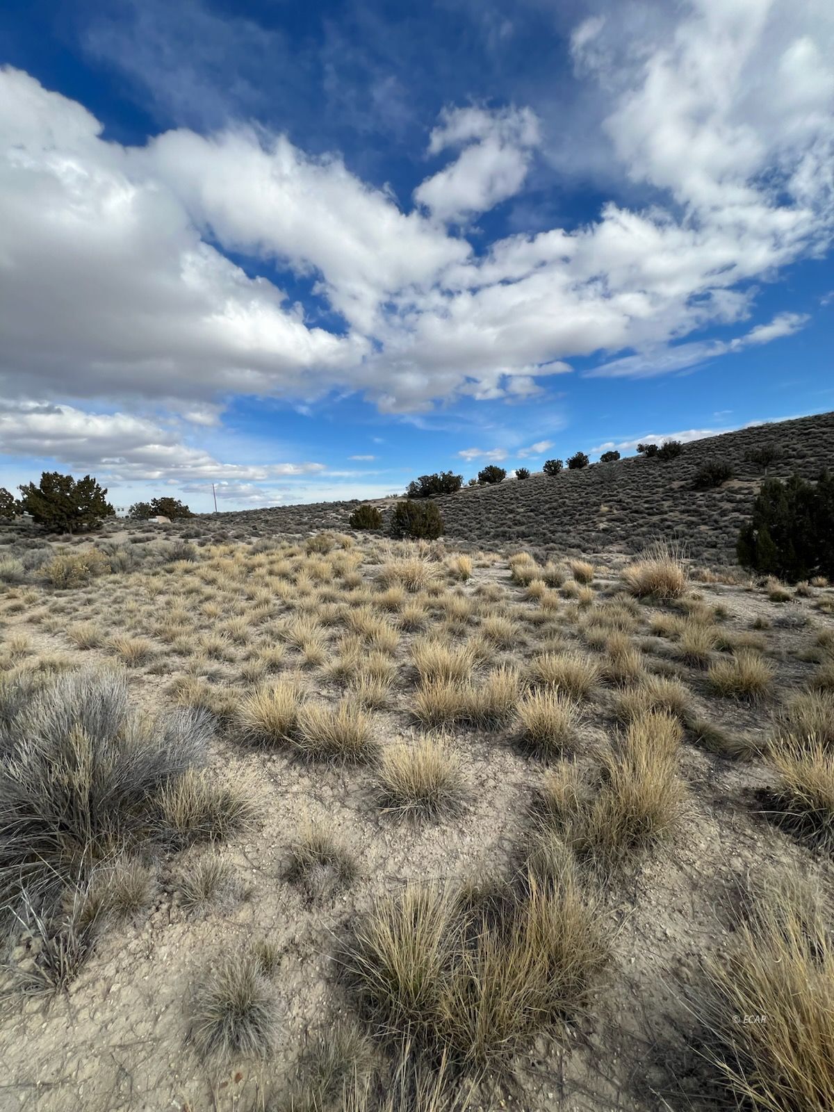 N/a Grant Avenue Spring Creek, NV 89815 - Photo 1 of 10