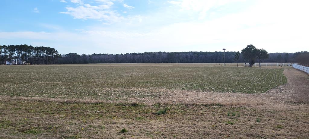 Lot 2 Sunset Way, Unit 2B Machipongo, VA 23405 - Photo 6 of 14