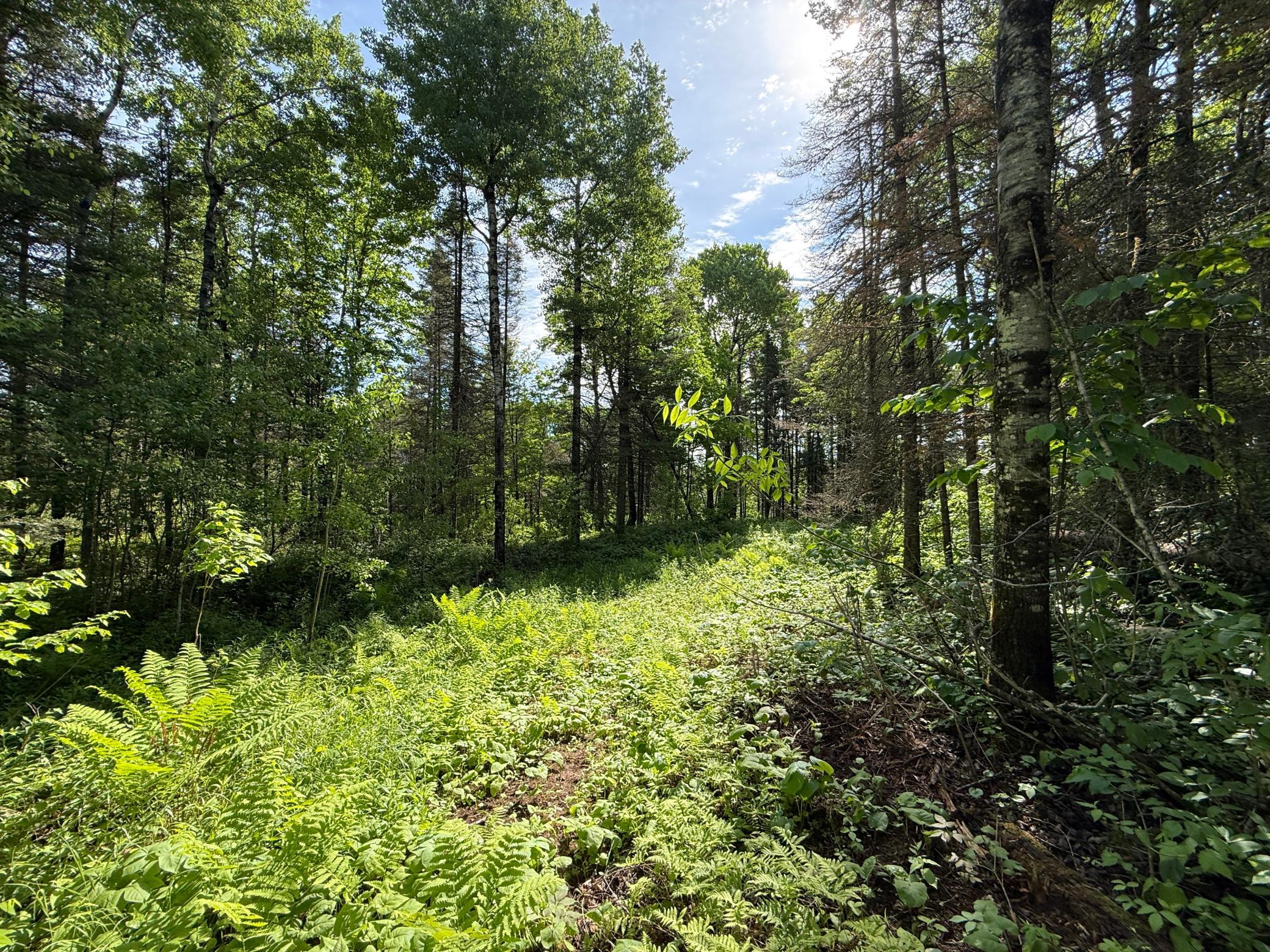 Tbd Arnold Road Duluth, MN 55803 - Photo 29 of 35