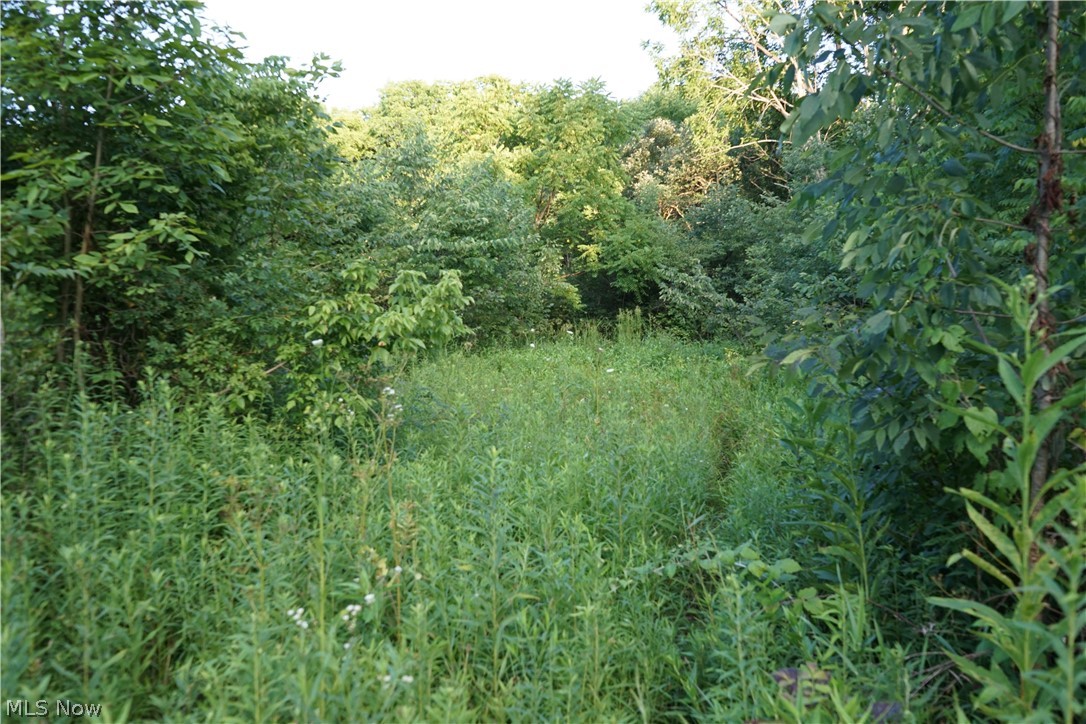95 State Route Fredericktown, OH 43019 - Photo 4 of 6 Gallery Image 4