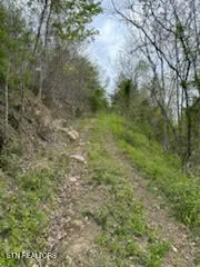 $375,000 | 0 Roe/ Jess Lane, Winfield, TN 37892