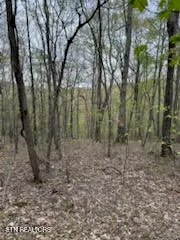 $375,000 | 0 Roe/ Jess Lane, Winfield, TN 37892