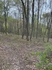 $375,000 | 0 Roe/ Jess Lane, Winfield, TN 37892