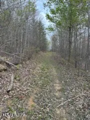 $375,000 | 0 Roe/ Jess Lane, Winfield, TN 37892