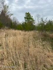 $375,000 | 0 Roe/ Jess Lane, Winfield, TN 37892