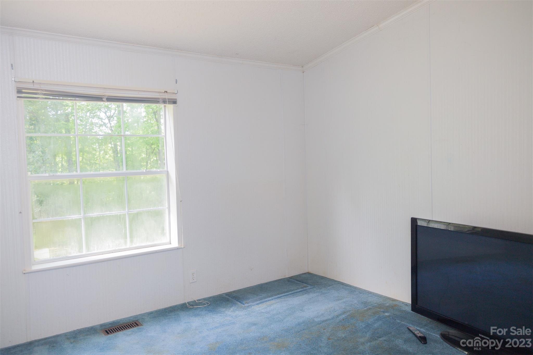 130 Misery Ridge Mill Spring, NC 28756 - Photo 20 of 25 Gallery Image 20