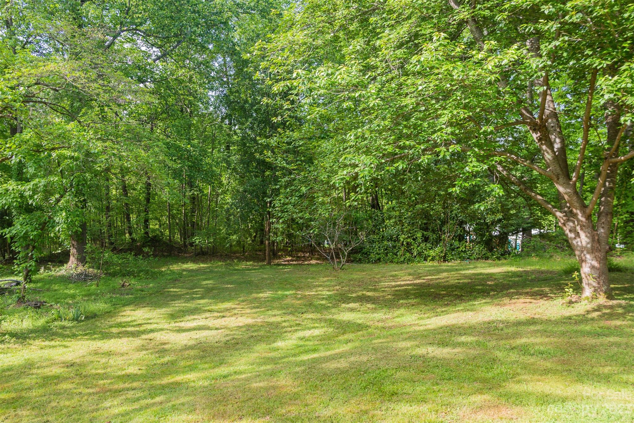 130 Misery Ridge Mill Spring, NC 28756 - Photo 3 of 25 Gallery Image 3