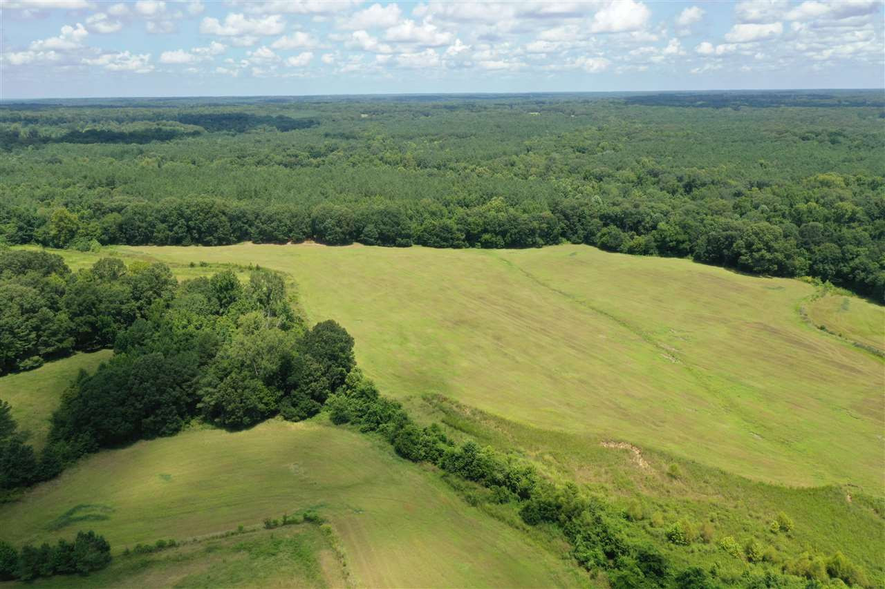 0 Terrell Road Bentonia, MS 39040 - Photo 8 of 40 Photo 8