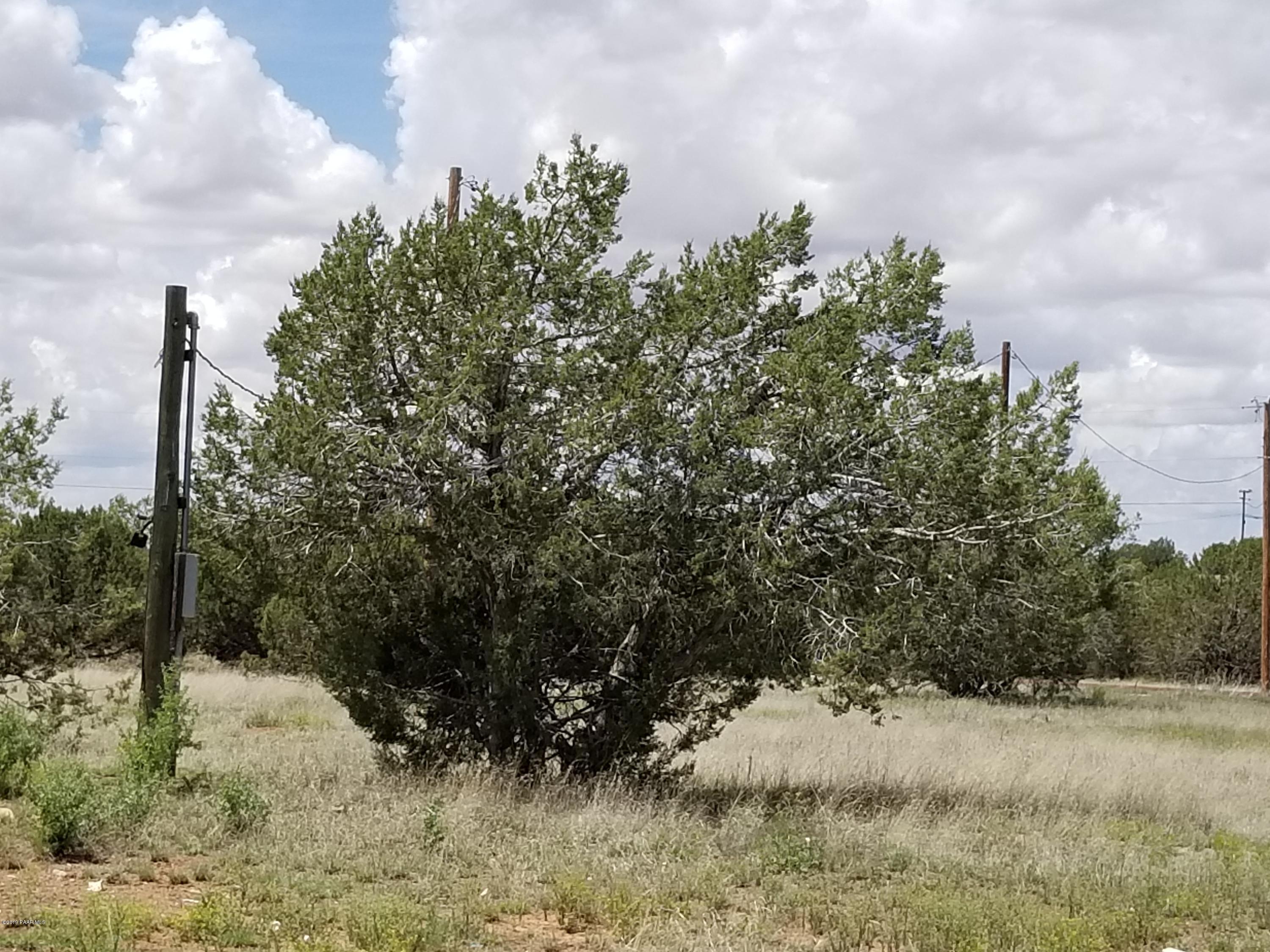 2219 North Forest Line Road Williams, AZ 86046 - Photo 12 of 15 20190510_114113