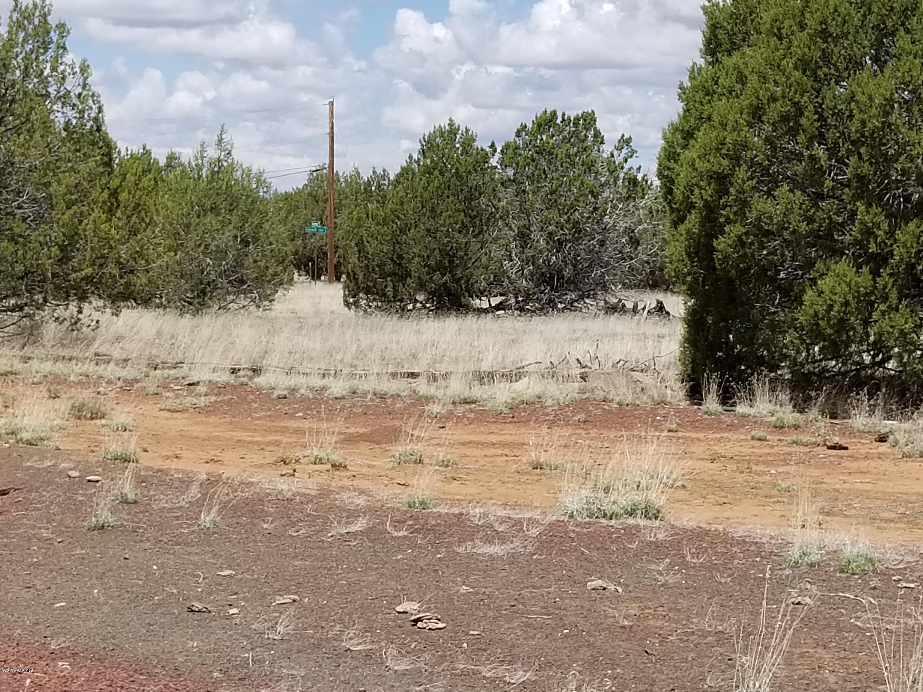 2219 North Forest Line Road Williams, AZ 86046 - Photo 13 of 15 20190510_114155