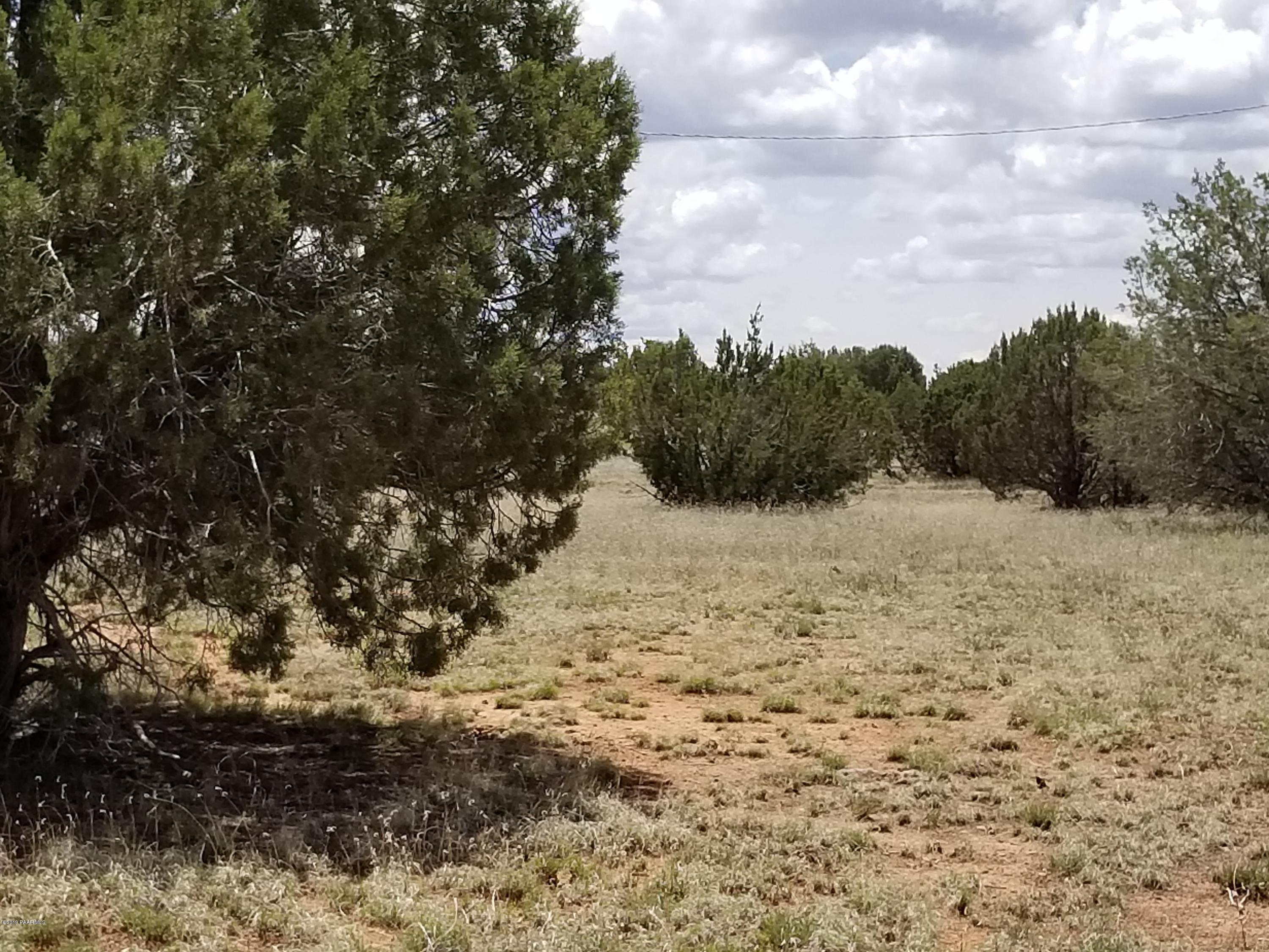 2219 North Forest Line Road Williams, AZ 86046 - Photo 15 of 15 20190510_114312