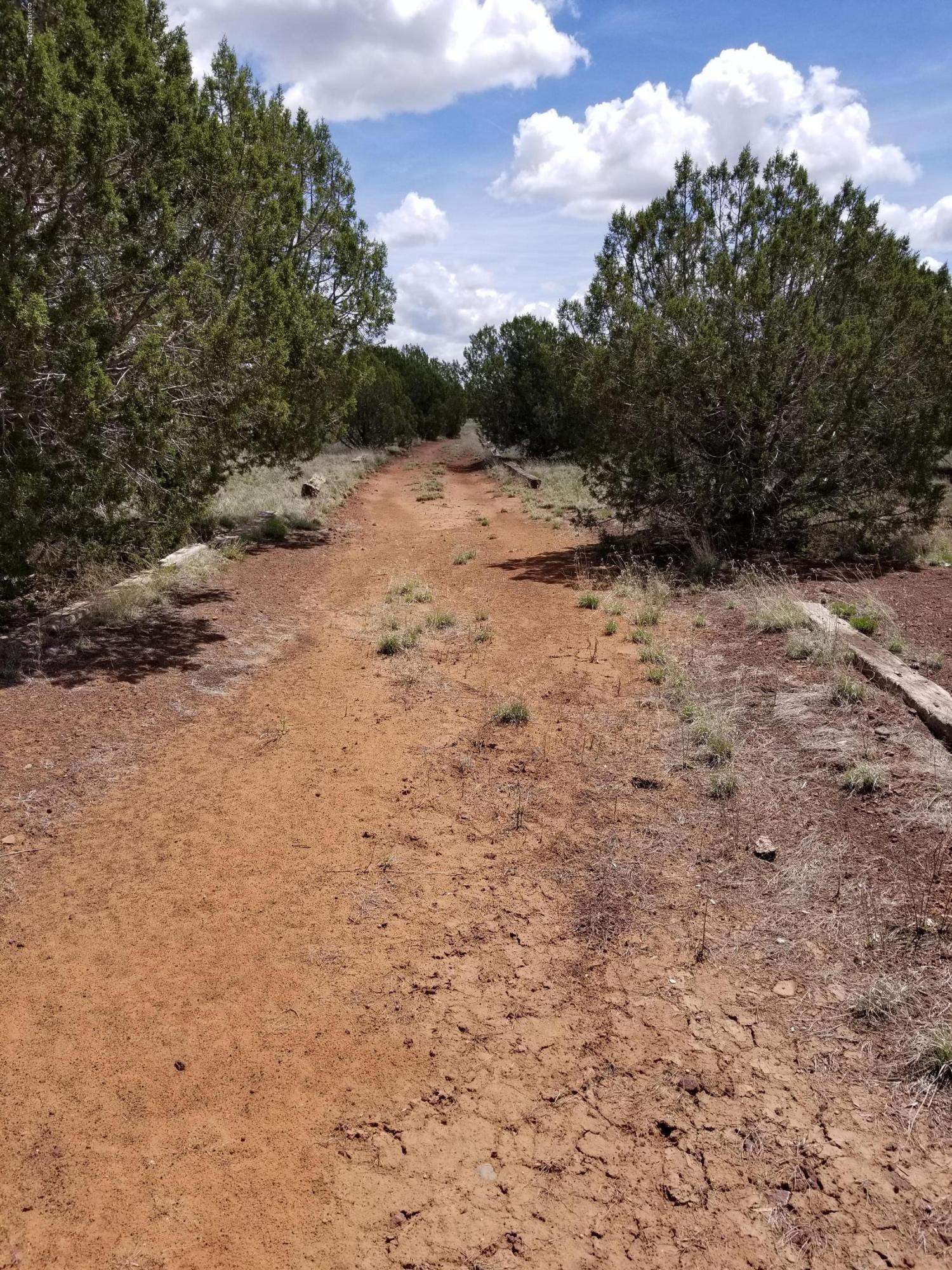2219 North Forest Line Road Williams, AZ 86046 - Photo 2 of 15 Driveway into Property