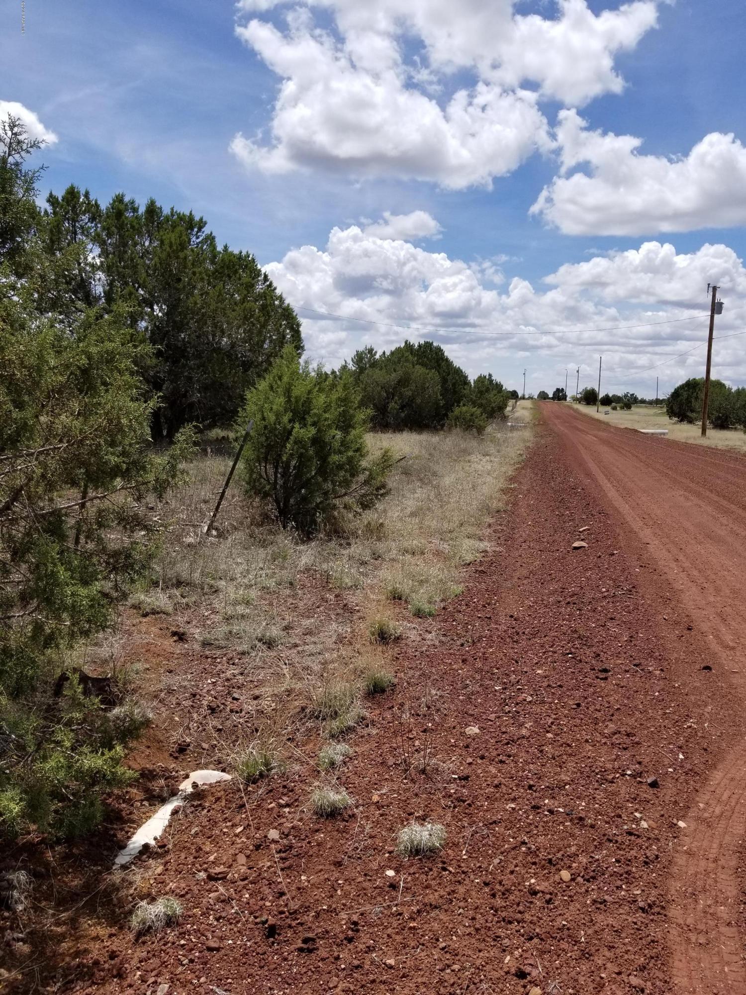 2219 North Forest Line Road Williams, AZ 86046 - Photo 4 of 15 Road looking south