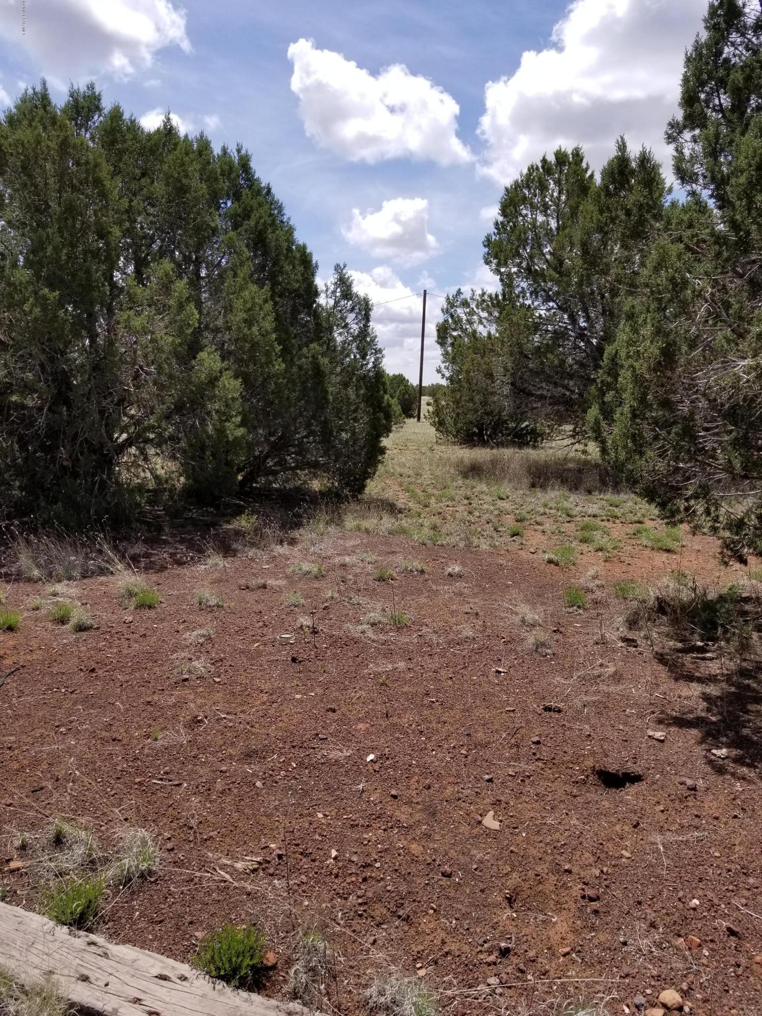 2219 North Forest Line Road Williams, AZ 86046 - Photo 6 of 15 20190510_113611