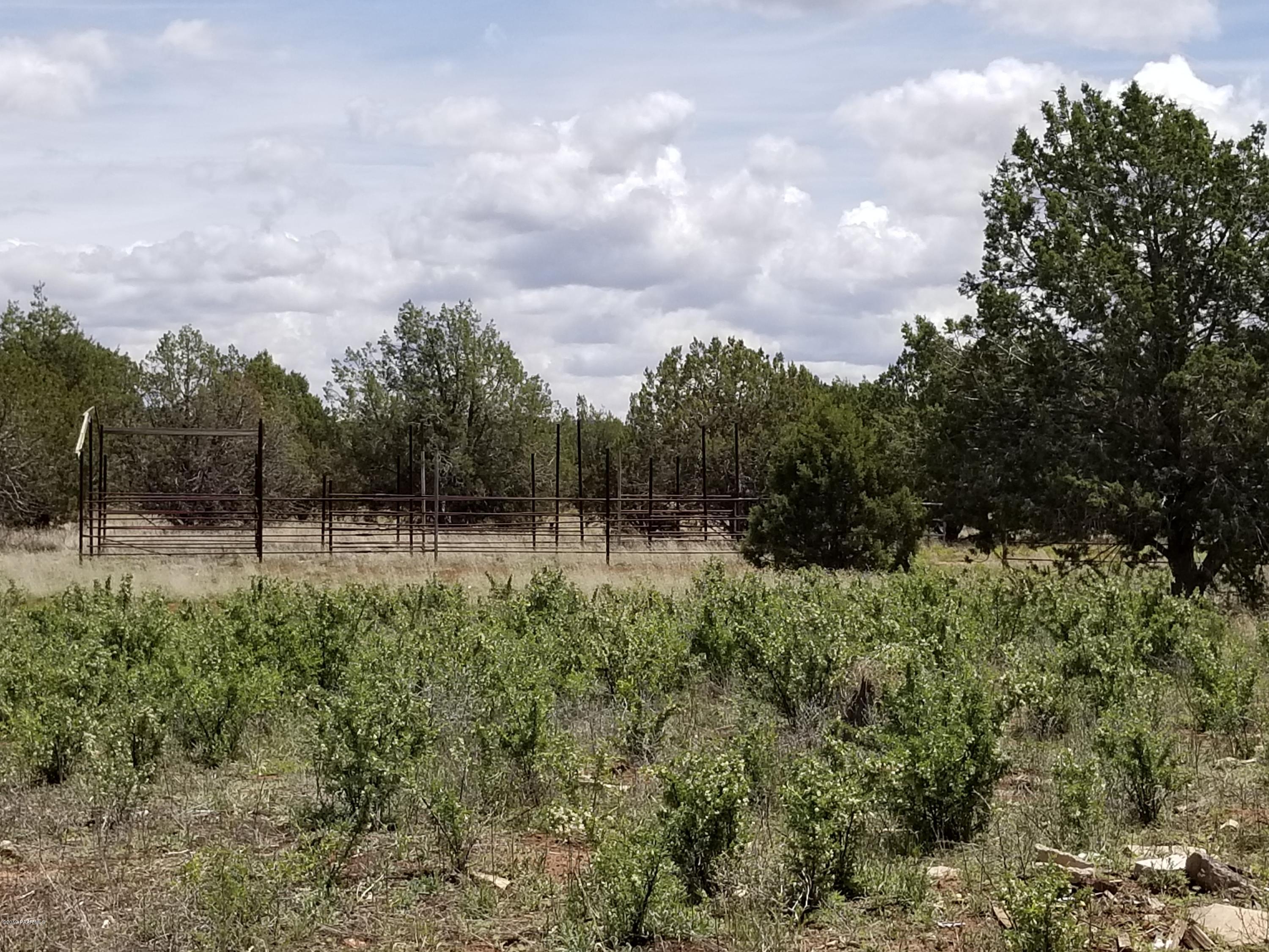 2219 North Forest Line Road Williams, AZ 86046 - Photo 10 of 15 Old corrals