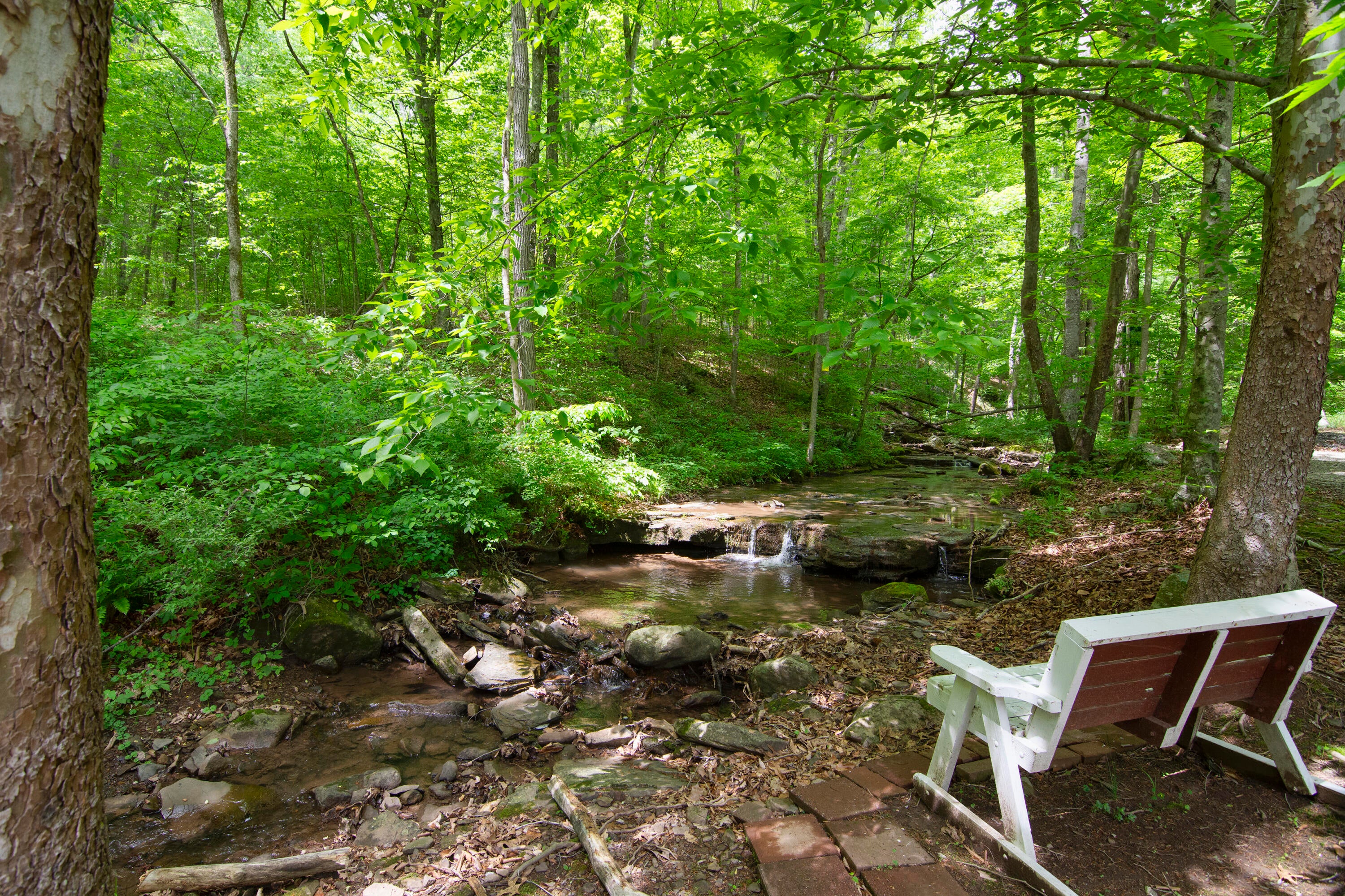 800 Eagle Branch Road Alderson, WV 24910 - Photo 4 of 57 Gallery Image 4