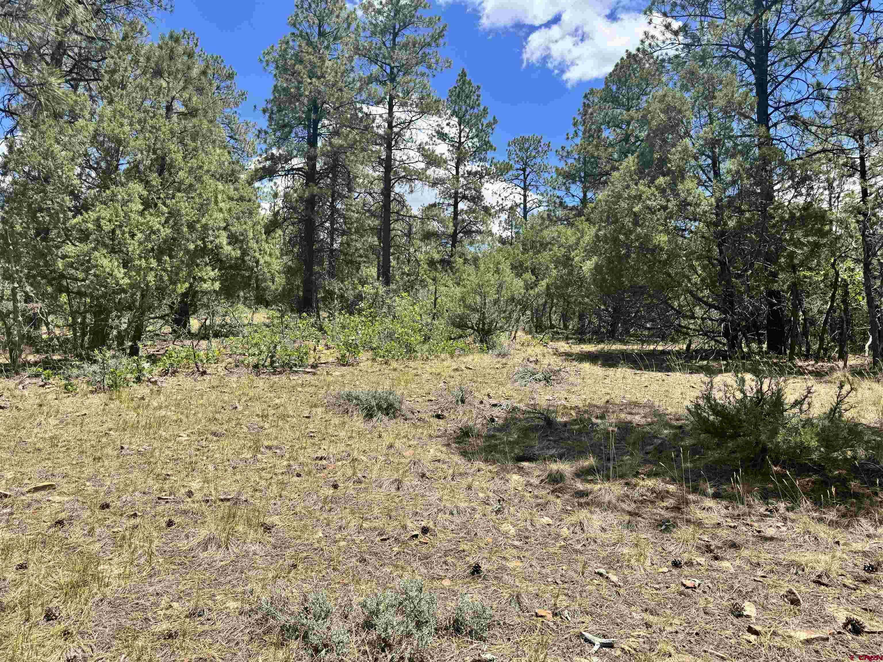 1259 Westview Road Pagosa Springs, CO 81147 - Photo 16 of 29