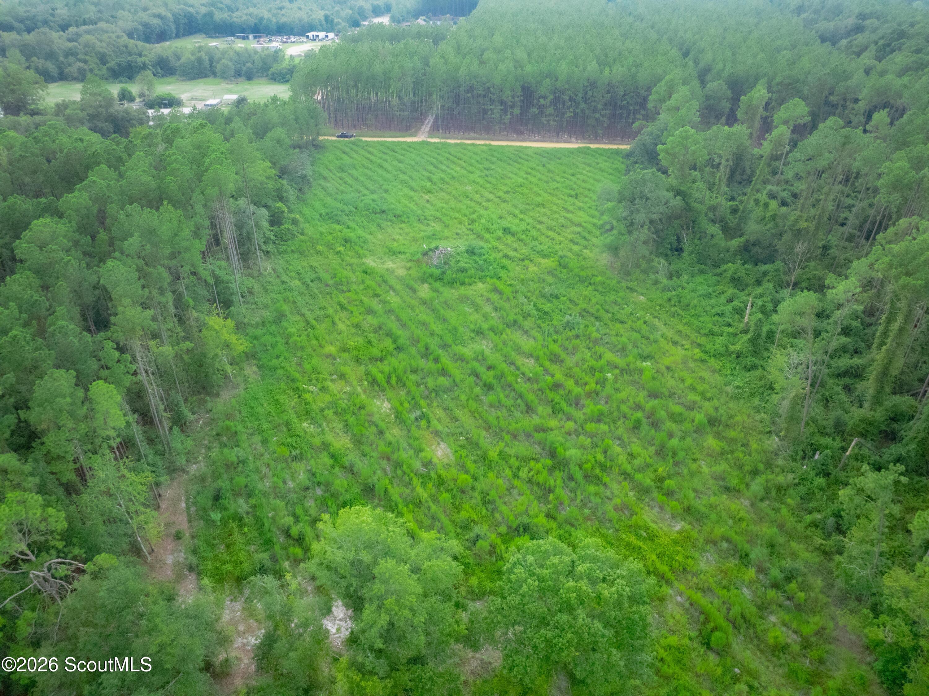 0 Son Thomas Road Patterson, GA 31557 - Photo 11 of 12 DJI_0315-HDR