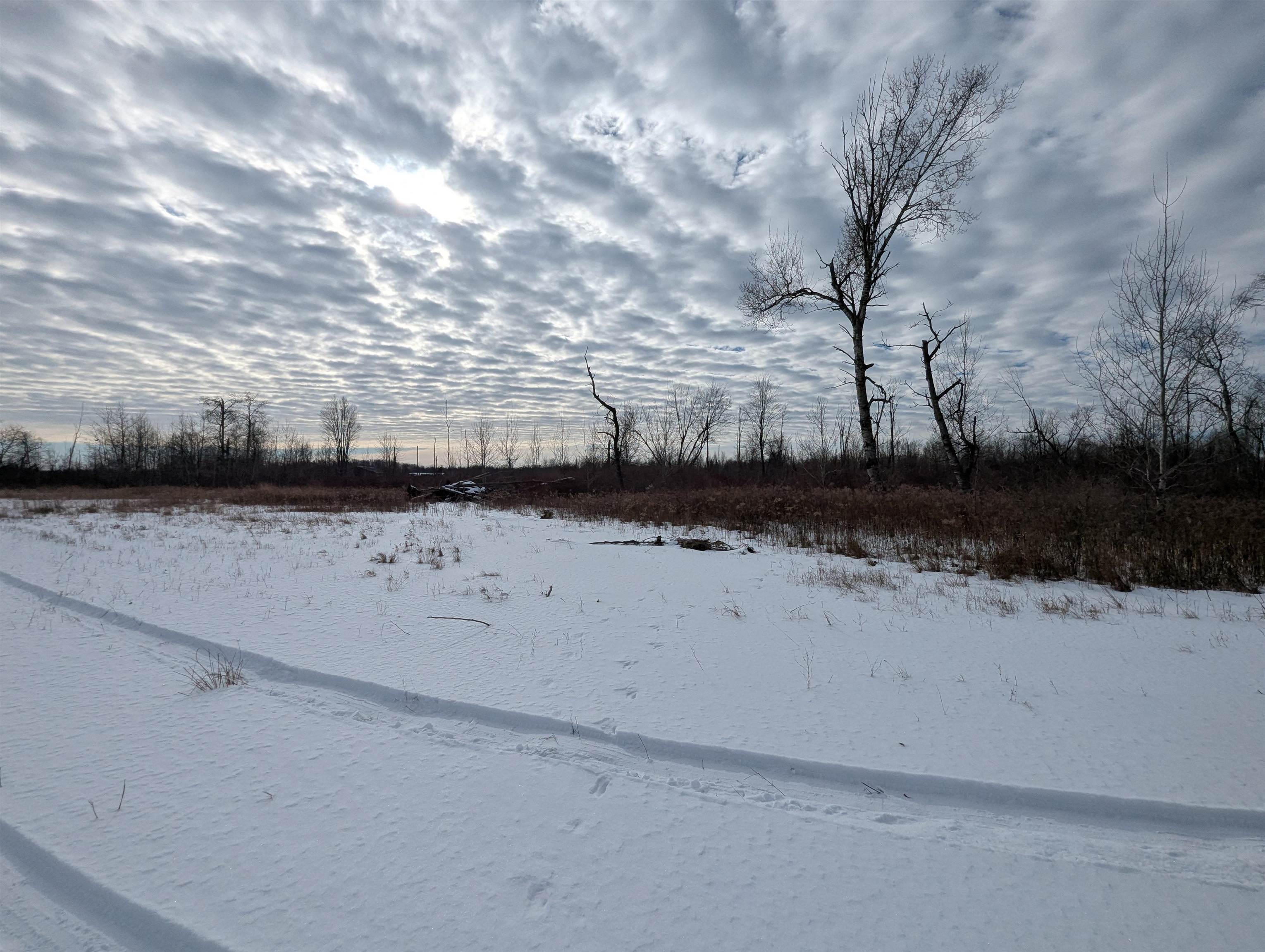 N/a Swenson Road Au Gres, MI 48703 - Photo 10 of 15