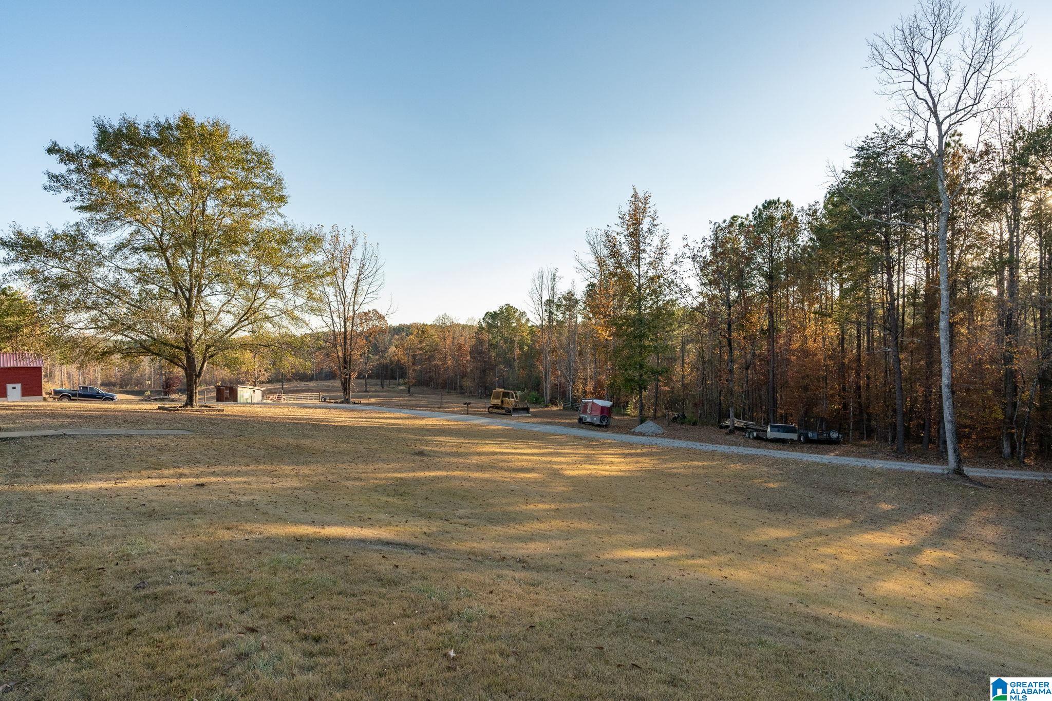 4948 Beech Grove Road Townley, AL 35587 - Photo 25 of 38