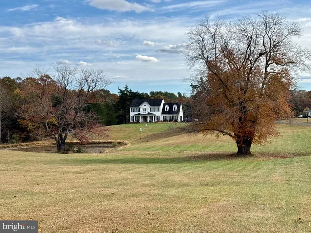 a view of swimming pool with a yard