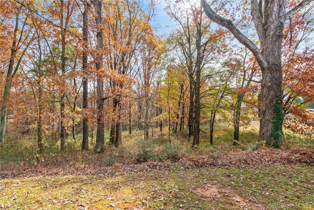 7933 Midway Road Alpharetta, GA 30004 - Photo 83 of 101 a backyard of a house with lots of green space