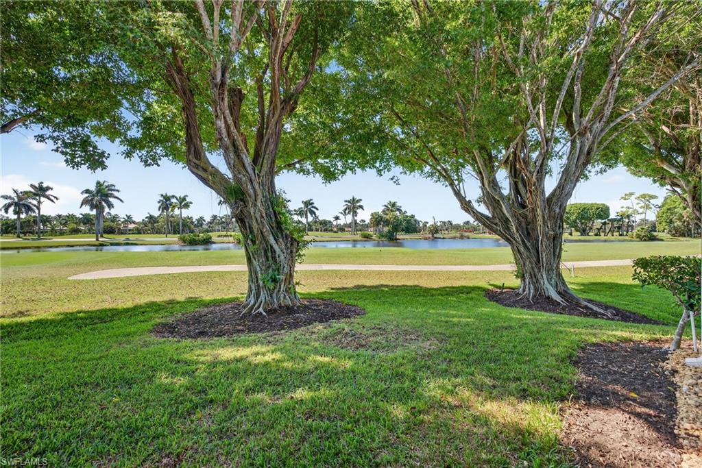 2193 Paget Circle, Unit 1 25 Naples, FL 34112 - Photo 31 of 50 a view of lake with a large trees