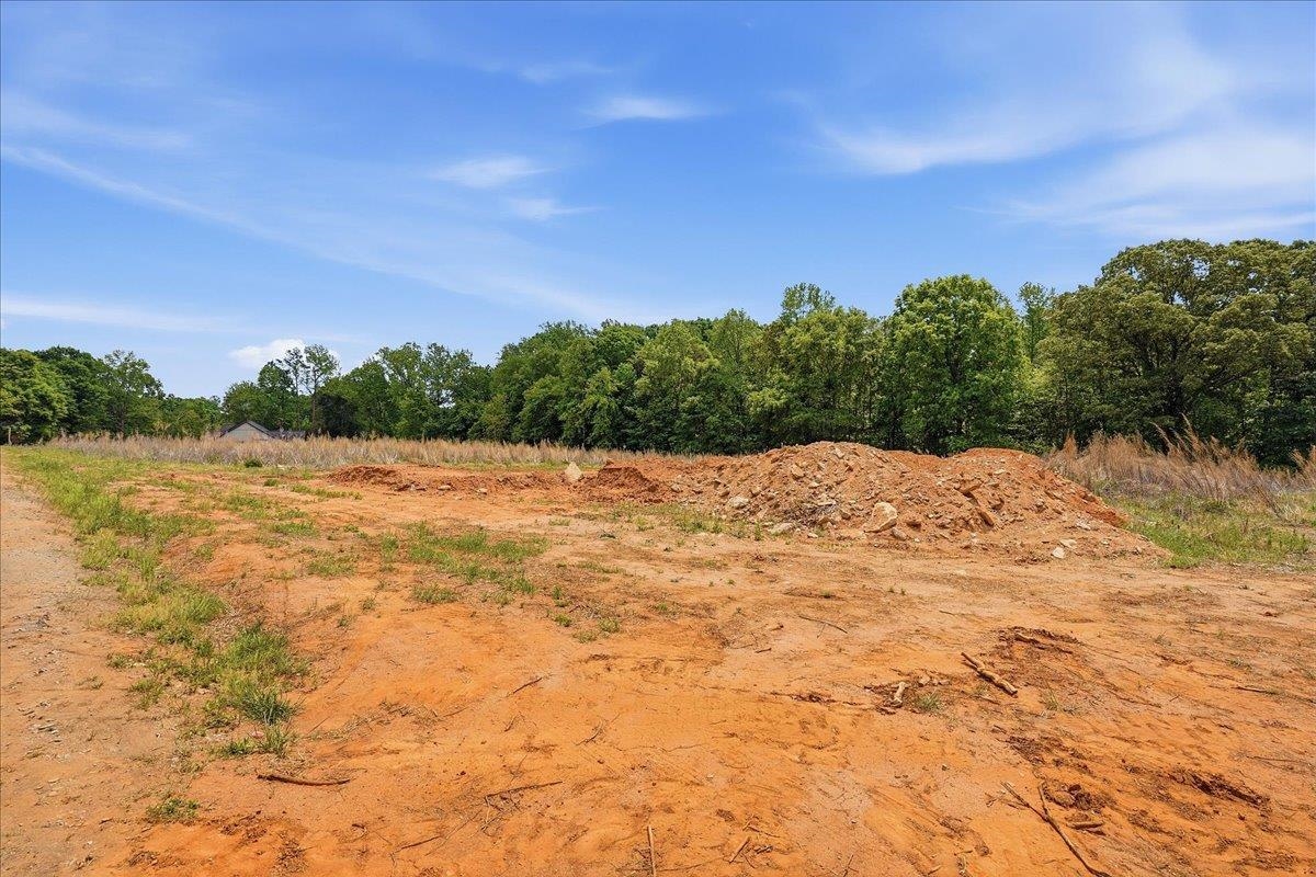 Lot 3 Parris Farm Road Chesnee, SC 29323 - Photo 23 of 26