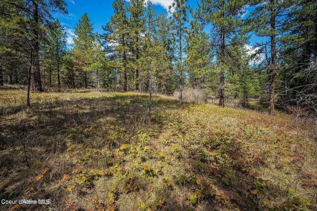 $230,000 | Nka West Sunmeadow Road, Worley, ID 83876