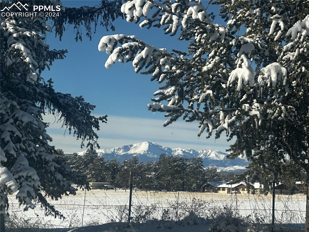 12990 Mc Cune Road Elbert, CO 80106 - Photo 49 of 50 a view of a tree in front of a yard