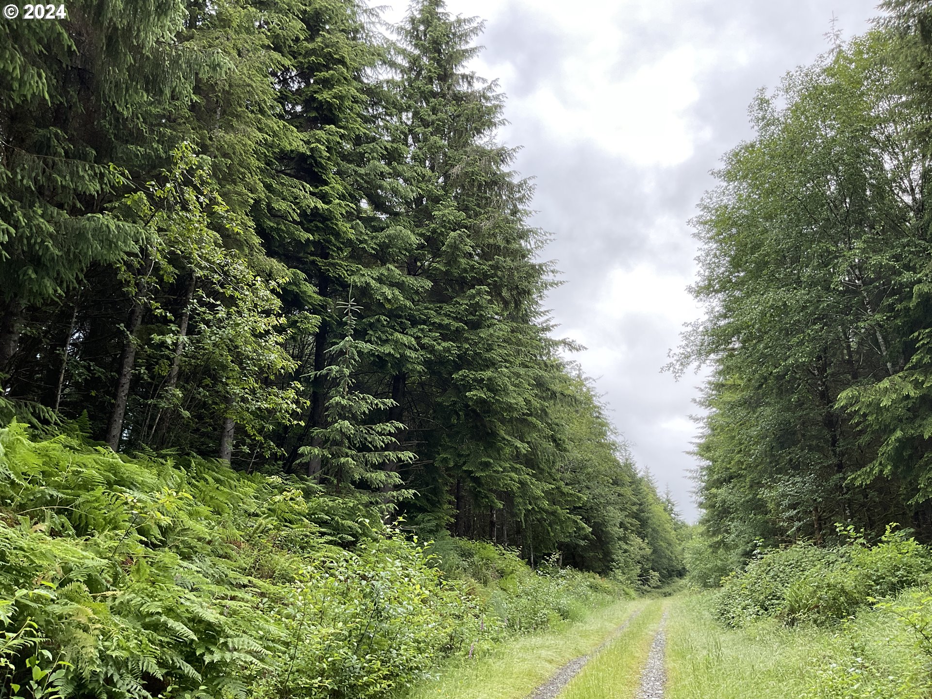 Labiske Road Astoria, OR 97103 - Photo 3 of 3 Gallery Image 3