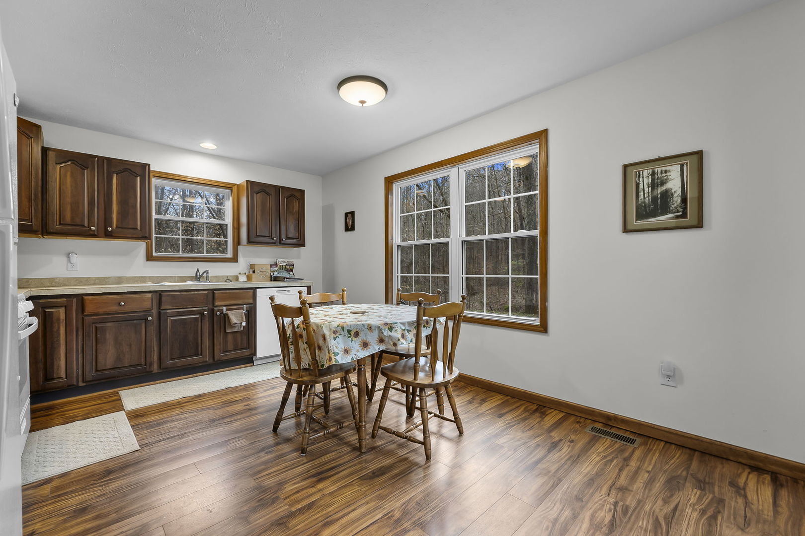 1825 Bald Knob Road Alto Pass, IL 62905 - Photo 13 of 44