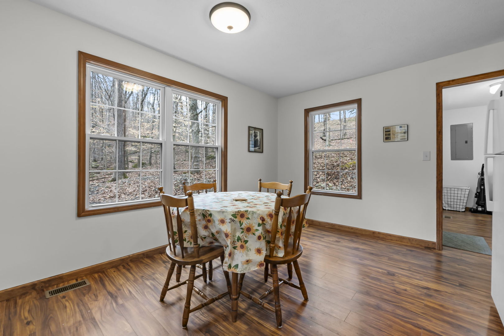 1825 Bald Knob Road Alto Pass, IL 62905 - Photo 15 of 44